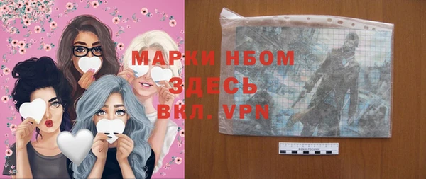 шишки Алексин